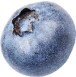 Picture of a blueberry