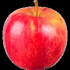 Earths best organic apple red