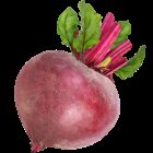 Earths best organic beetroot