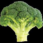 Earths best organic broccoli