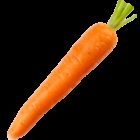 Earths best organic carrot