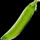 Earths best organic pea pod