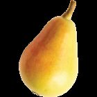 Earths best organic pear