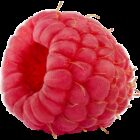 Earths best organic raspberry