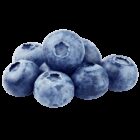 Earths best organic blueberry bunch small